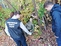 Участие в следственных действиях